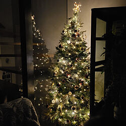 リビング/夜を楽しむインテリア/クリスマス/子どもと暮らす/クリスマスツリー180cm...などのインテリア実例 - 2021-12-05 19:16:31