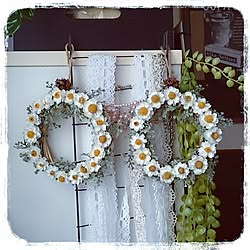 Blog更新しました❤︎/植物/ハンドメイド/雑貨/minne販売予定です♡...などのインテリア実例 - 2015-04-15 09:07:16
