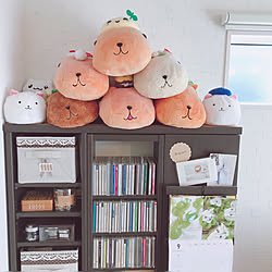 リビング/ティッピー/カピバラさん/CD DVD 収納/CD棚...などのインテリア実例 - 2018-09-01 18:46:58
