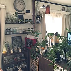 棚/フェイクグリーン/カフェ風/NO GREEN NO LIFE/観葉植物...などのインテリア実例 - 2017-01-05 09:11:07