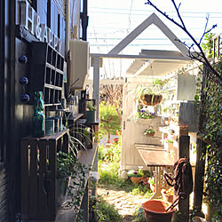 玄関/入り口/10000人の暮らし/RC東海支部/植物のある暮らし/テラコッタ鉢...などのインテリア実例 - 2018-02-21 19:58:54