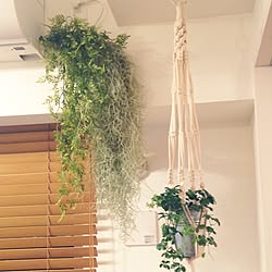 エアコンの配管隠しのインテリア実例 Roomclip ルームクリップ エアコンの配管隠しのインテリア実例 Roomclip ルームクリップ