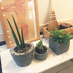 サボテン/モルタル鉢DIY/雑貨/カゴ収納/りんご箱...などのインテリア実例 - 2020-07-29 19:56:49
