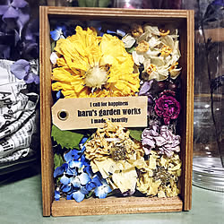 ダイソー シリカゲルドライフラワーのインテリア実例 Roomclip ルームクリップ