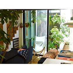 キッチン/星条旗/バスロールサイン/LouisPoulsen/NO GREEN NO LIFE...などのインテリア実例 - 2016-05-22 11:30:05