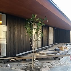 部屋全体/重量鉄骨/平屋の家/上棟/棟上げのインテリア実例 - 2016-05 