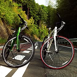 Trek 自転車壁掛けのインテリア実例 Roomclip ルームクリップ