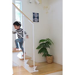スリット鉢のインテリア実例 Roomclip ルームクリップ