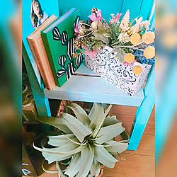 ニトリ/mix style/いつもありがとうございます♡/賃貸/エアープランツ...などのインテリア実例 - 2019-03-18 13:27:02