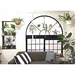 壁/天井/植物/ZOO会♡/関西好きやねん会/中古住宅...などのインテリア実例 - 2016-06-03 18:44:50