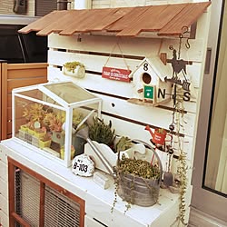 多肉植物 温室のインテリア実例 Roomclip ルームクリップ 多肉植物 温室のインテリア実例 Roomclip ルームクリップ