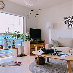 シンプルナチュラル/marimekko/壁紙屋本舗/マリメッコ/アルテック スツール60...などのインテリア実例 - 2019-09-07 13:47:23