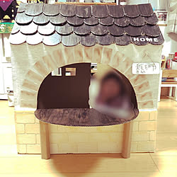ダンボール 犬小屋のインテリア実例 Roomclip ルームクリップ ダンボール 犬小屋のインテリア実例 Roomclip ルームクリップ