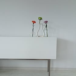 リビング/TVボード/観葉植物/テレビボード/ひとり暮らしをとことん楽しむ!...などのインテリア実例 - 2015-07-24 10:57:45