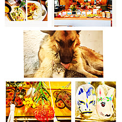 spinetailちゃんのおすすめのお花/狐はのんちゃん/うさぎが私/張り子の面作り/書写の里美術工芸館...などのインテリア実例 - 2019-07-21 21:02:11