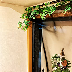 つっぱり棒の活用法 簡易玄関網戸カーテン 超強力マグネット グリーンガーランド リングカーテンクリップ モノクロ などのインテリア実例 05 29 19 09 12 Roomclip ルームクリップ