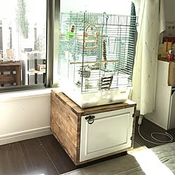 鳥かご台のインテリア実例 Roomclip ルームクリップ