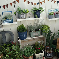 棚/ガーランド/いいね!ありがとうございます♪/賃貸でも楽しく♪/植物のある暮らし...などのインテリア実例 - 2017-08-26 21:59:14