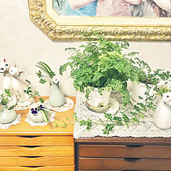 机/RCの出会いに感謝♡/お花大好き♡/観葉植物のある部屋/グリーン大好き♡...などのインテリア実例 - 2018-04-21 03:28:36
