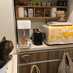 コーヒーフィルターホルダー/無印良品 壁に付けられる家具/ラッセルホブス カフェケトル/鹿児島睦/ウォーターサーバー...などのインテリア実例 - 2019-06-26 14:50:45