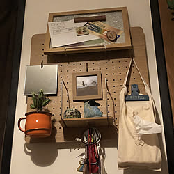 食虫植物 ハエトリソウのインテリア実例 Roomclip ルームクリップ 食虫植物 ハエトリソウのインテリア実例 Roomclip ルームクリップ