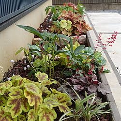 イラスト手書き カーズ 机 男の子と暮らす 絵を描くのが好き などのインテリア実例 17 06 12 07 08 42 Roomclip ルームクリップ