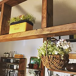 キッチン/賃貸でも諦めない!/賃貸/賃貸でも楽しく♪/ディアウォール DIY...などのインテリア実例 - 2017-06-19 08:05:40