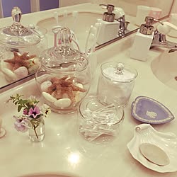 ダイソーシェル皿 シェル皿 ダイソー かわいい 観葉植物 などのインテリア実例 19 04 24 00 51 43 Roomclip ルームクリップ