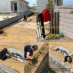 土にまくだけ害虫退治オールスター/アースガーデン/害虫対策/植物のある暮らし/ガーデニング...などのインテリア実例 - 2020-05-05 12:42:02