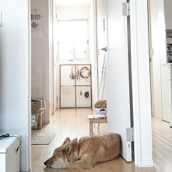 玄関/入り口/白×natural/プロフからミンネ行けます♡/犬と暮らす家/いいね&フォローありがとうございます☆...などのインテリア実例 - 2018-11-17 18:02:47