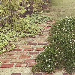 コーナン 枕木とレンガの小道 枕木風コンクリート 玄関 入り口 途中経過 などのインテリア実例 19 01 13 17 04 41 Roomclip ルームクリップ