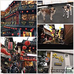 旅行した思い出/旅行いってました/ワンコ/犬/台湾旅行...などのインテリア実例 - 2017-12-13 21:52:16
