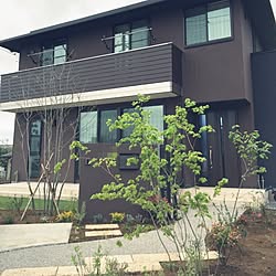 外観 住友林業のインテリア実例 Roomclip ルームクリップ