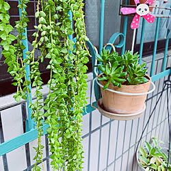 コーナン フェンスdiyのインテリア 手作りの実例 Roomclip ルームクリップ