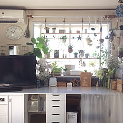 机/狭い部屋 /花のある暮らし/NO GREEN NO LIFE/飾り棚...などのインテリア実例 - 2019-02-24 14:19:19