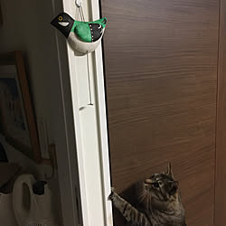 シジュウカラ/張り子/猫と暮らす/猫/猫のいる日常...などのインテリア実例 - 2019-05-09 01:36:15
