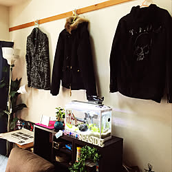 壁/天井/魅せる収納に憧れる/1K/いつもいいね♡ありがとうございます!/コメントお返し遅くてすいません!...などのインテリア実例 - 2017-11-13 12:21:46
