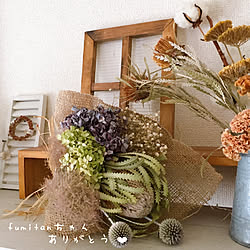 ドライ失敗のインテリア実例 Roomclip ルームクリップ