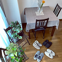 IKEAの折り畳みチェア/グリーンのある暮らし/コチア/ピンクッション/花のある暮らし...などのインテリア実例 - 2020-11-18 12:39:01