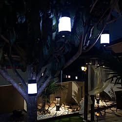 Ledソーラーライトガラスボールのインテリア実例 Roomclip ルームクリップ