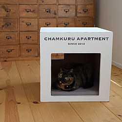 diy キャットハウス 猫 外猫 小屋 などのインテリア実例 15 06 05 16 42 46 Roomclip ルームクリップ diy キャットハウス 猫 外猫 小屋 などのインテリア実例 15 06 05 16 42 46 Roomclip ルームクリップ