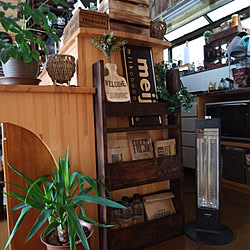 キッチン/観葉植物のある暮らし/たなDIY/快適生活目指して!/まだまだ初心者☆...などのインテリア実例 - 2018-01-19 16:33:35