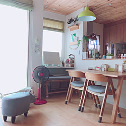 2019.6.4/カバオくん、お尻向けてますよ(笑)/カバオのいる風景❁.*・゚/カバオと暮らす❁.*・゚/扇風機始めました✩.*˚...などのインテリア実例 - 2019-06-04 11:39:58