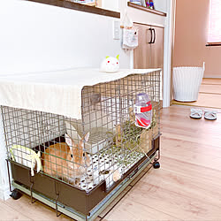 うさぎ 階段の壁のインテリア実例 Roomclip ルームクリップ