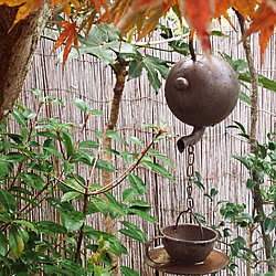 鎖樋のインテリア実例 Roomclip ルームクリップ