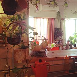 キッチン/スカイプランター/いなざうるす屋さん/植物のある部屋/緑化計画...などのインテリア実例 - 2014-04-01 08:10:34
