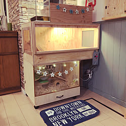 ハムスターケージdiy ハムスターケージ ハムスター Diy 100均 などのインテリア実例 17 10 15 19 58 08 Roomclip ルームクリップ