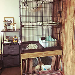 猫ゲージのインテリア実例 Roomclip ルームクリップ
