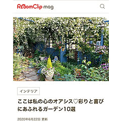 RoomClip mag 掲載/モッコウバラ/モッコウバラ白/植物のある暮らし/植物...などのインテリア実例 - 2020-06-25 01:43:00