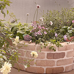 アンティーク ガーデニング イングリッシュガーデン 花のある暮らし カインズホームのインテリア実例 03 17 11 39 19 Roomclip ルームクリップ